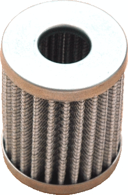 Fuel Filter (4892)