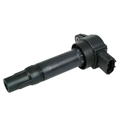 Ignition Coil (10663)