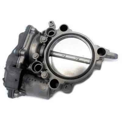 Throttle Body (89272)