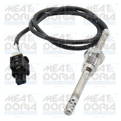 Sensor, exhaust gas temperature (12695)