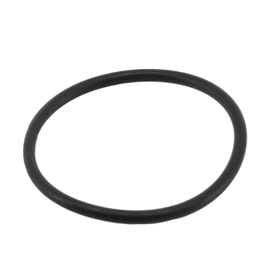 Seal, thermostat (01691)