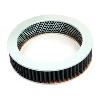 Air Filter (16302)