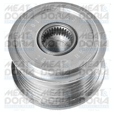 Alternator Freewheel Clutch (45254)