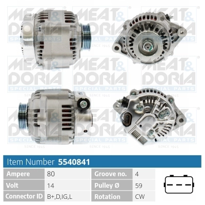 Alternator (5540841)