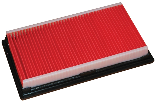 Air Filter (18365)
