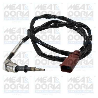 Sensor, exhaust gas temperature (12679)