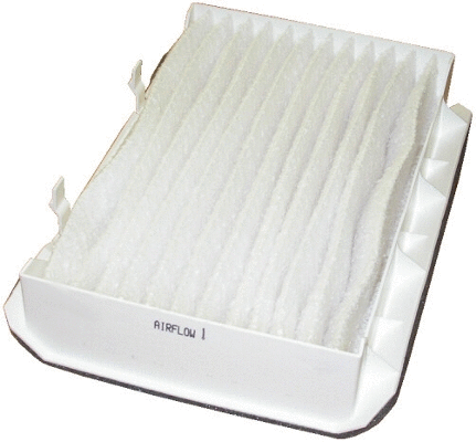 Filter, cabin air (17225F)