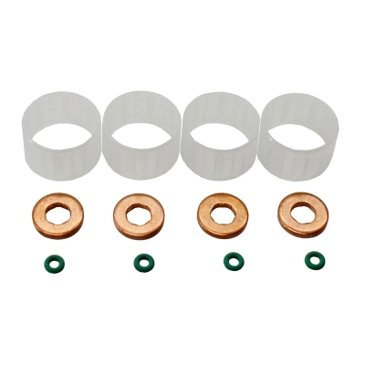 Repair Kit, injection nozzle (98498)