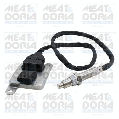 NOx Sensor, NOx catalytic converter (57022)