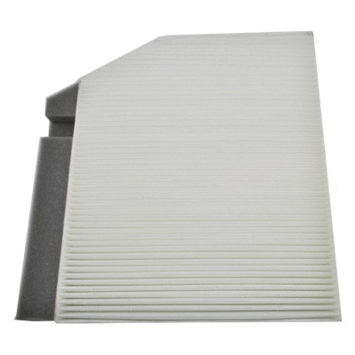 Filter, cabin air (17587)