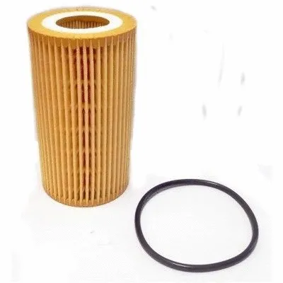 Oil Filter (14037)