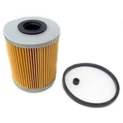 Fuel Filter (4229)