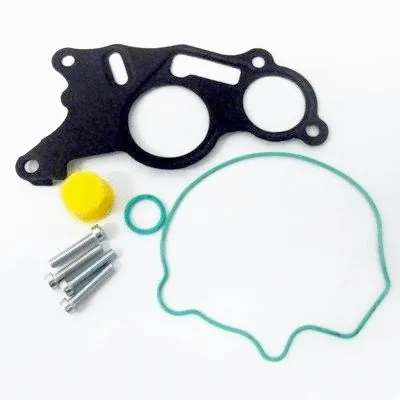Repair Set, vacuum pump (braking system) (91171)
