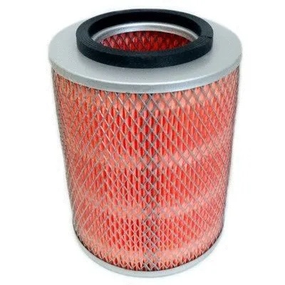 Air Filter (16487)