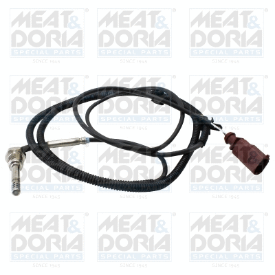 Sensor, exhaust gas temperature (12562)