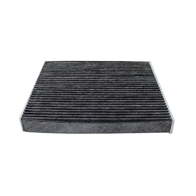 Filter, cabin air (17599K)