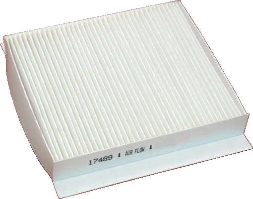 Filter, cabin air (17489)