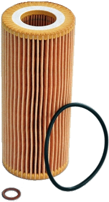 Oil Filter (14094)