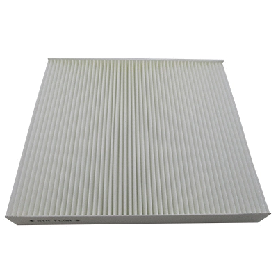 Filter, cabin air (17585)