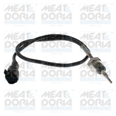 Sensor, exhaust gas temperature (12819)