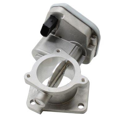 Throttle Body (89711)