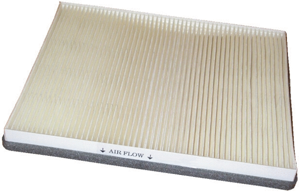 Filter, cabin air (17175)