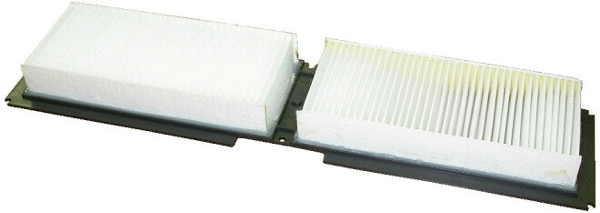 Filter, cabin air (17244F)
