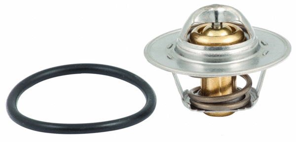 Thermostat, coolant (92184)