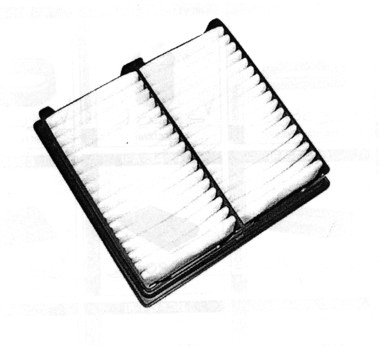 Air Filter (16041/1)