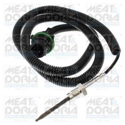 Sensor, exhaust gas temperature (12765)