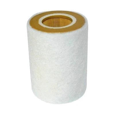Air Filter (18379)