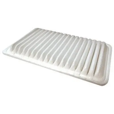 Air Filter (16020)