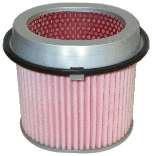 Air Filter (16062)