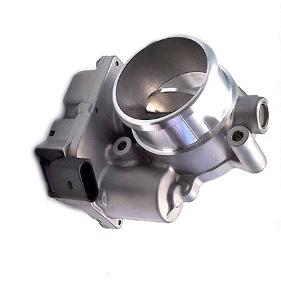 Throttle Body (89122)