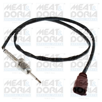 Sensor, exhaust gas temperature (12269)