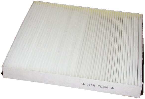 Filter, cabin air (17109)