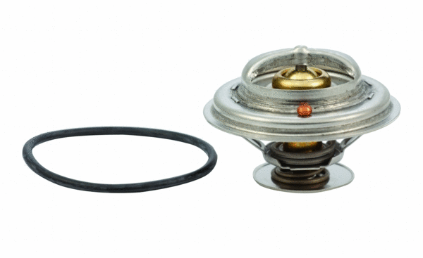 Thermostat, coolant (92328)