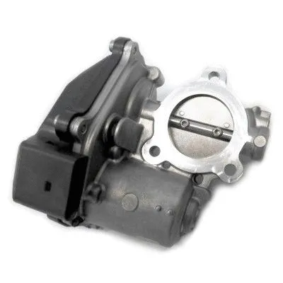 EGR Valve (88330)