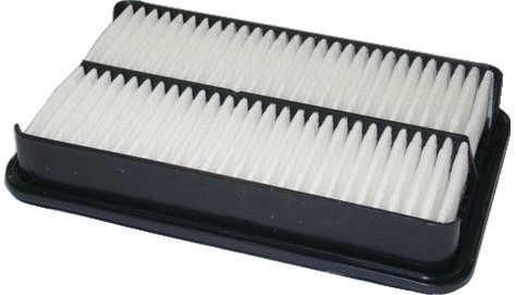 Air Filter (16006)