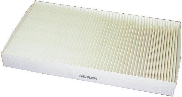 Filter, cabin air (17079)