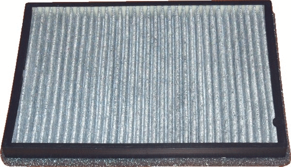 Filter, cabin air (17481FK)