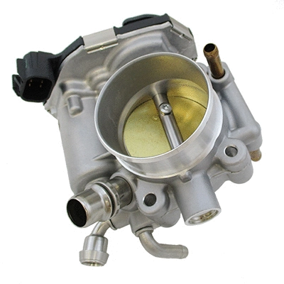 Throttle Body (89443)
