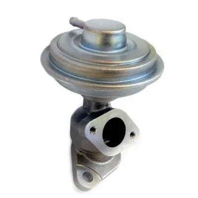 EGR Valve (88313)