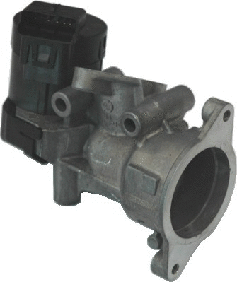 EGR Valve (88117)