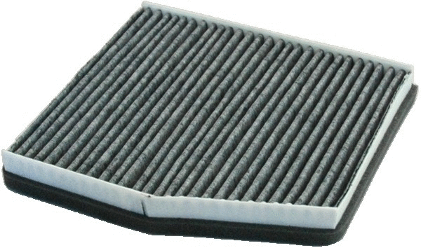 Filter, cabin air (17100K)