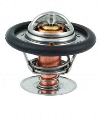 Thermostat, coolant (92322)