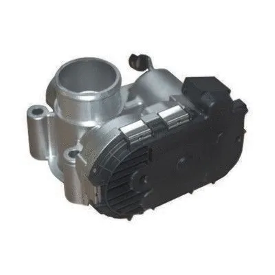 Throttle Body (89258R)