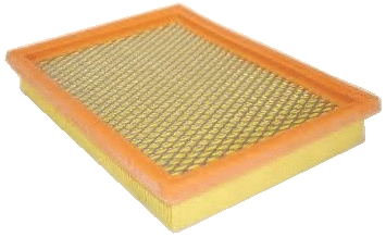 Air Filter (16242)