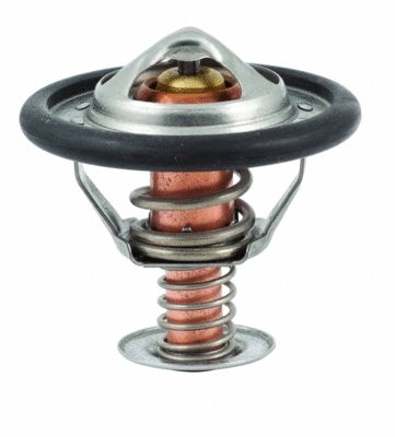Thermostat, coolant (92330)
