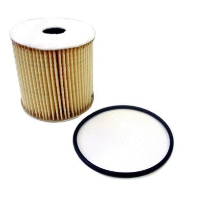 Oil Filter (14010)